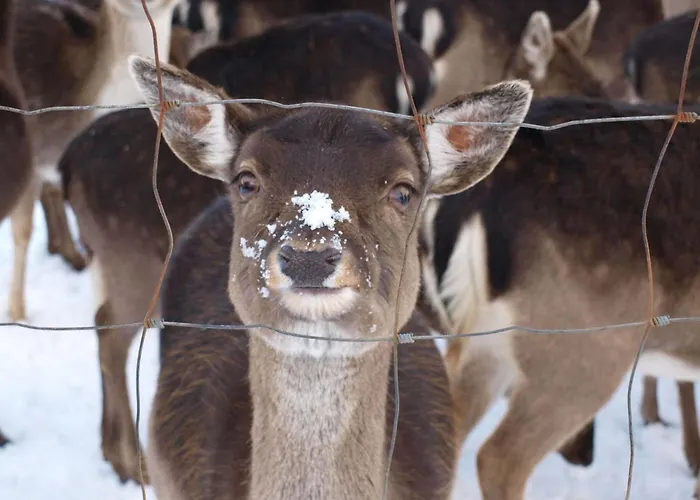 Hoppenhof 1 By Interhome